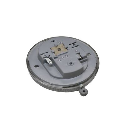510/1600 Interior Lamp Assembly | Genuine Nissan | Sedan Only